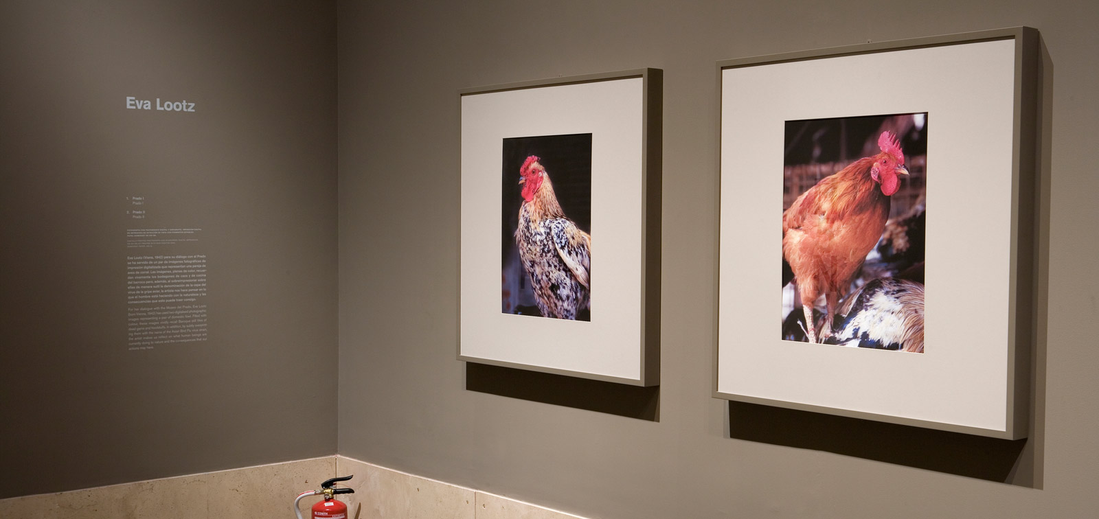 Doce artistas en el Museo del Prado