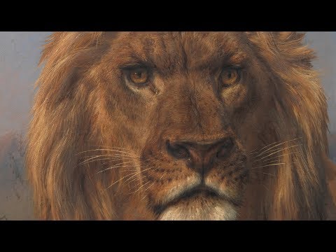 La mirada del otro: escenarios para la diferencia